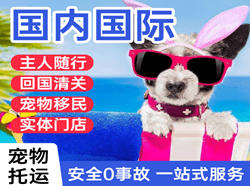 山南隆子航空快运国际宠物托运 【国
